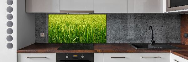 Splashback panel for kitchen Rice field