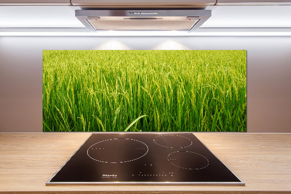 Splashback panel for kitchen Rice field