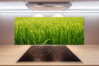 Splashback panel for kitchen Rice field