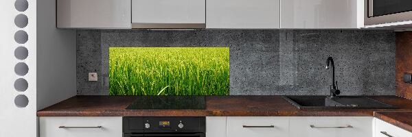 Splashback panel for kitchen Rice field