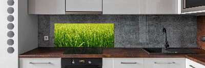 Splashback panel for kitchen Rice field