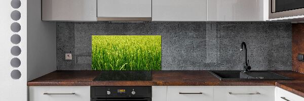 Splashback panel for kitchen Rice field