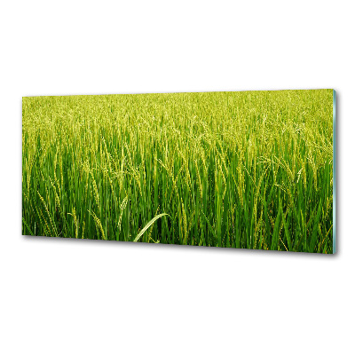 Splashback panel for kitchen Rice field