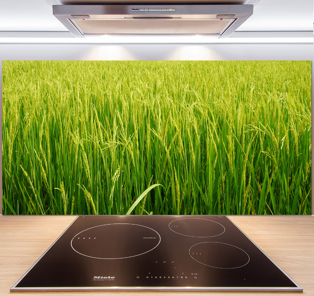 Splashback panel for kitchen Rice field