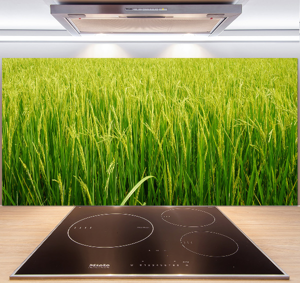 Splashback panel for kitchen Rice field