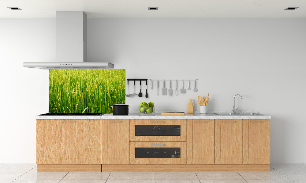 Splashback panel for kitchen Rice field