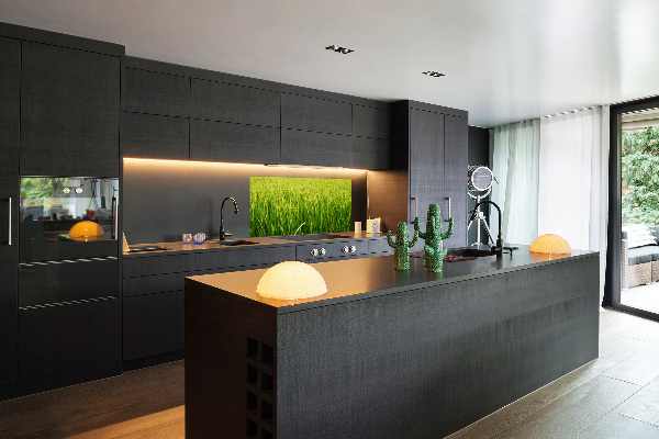 Splashback panel for kitchen Rice field