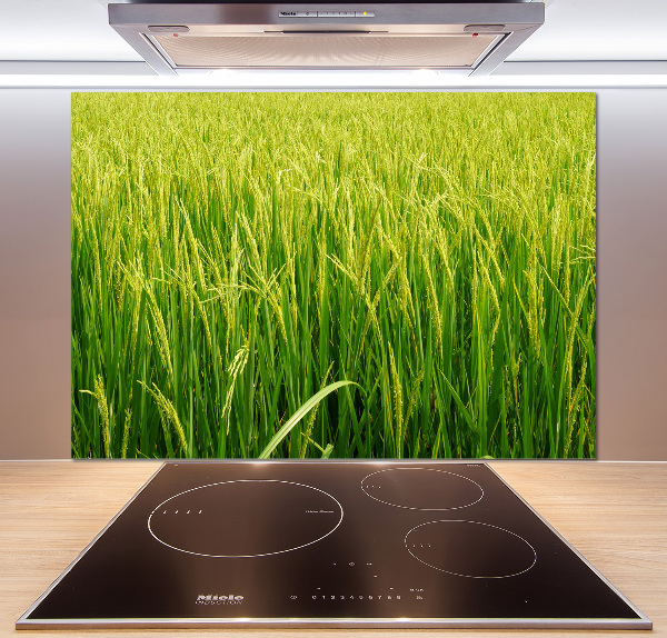 Splashback panel for kitchen Rice field