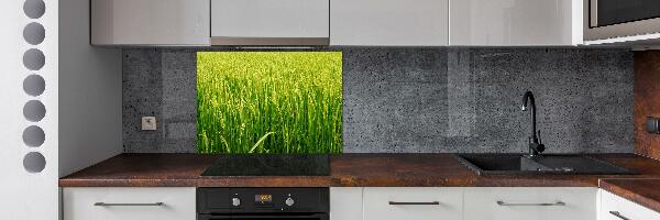 Splashback panel for kitchen Rice field