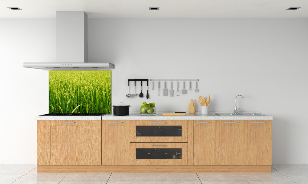 Splashback panel for kitchen Rice field