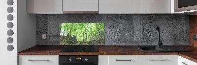 Kitchen splashback Ornithologist in the forest