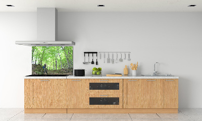 Kitchen splashback Ornithologist in the forest