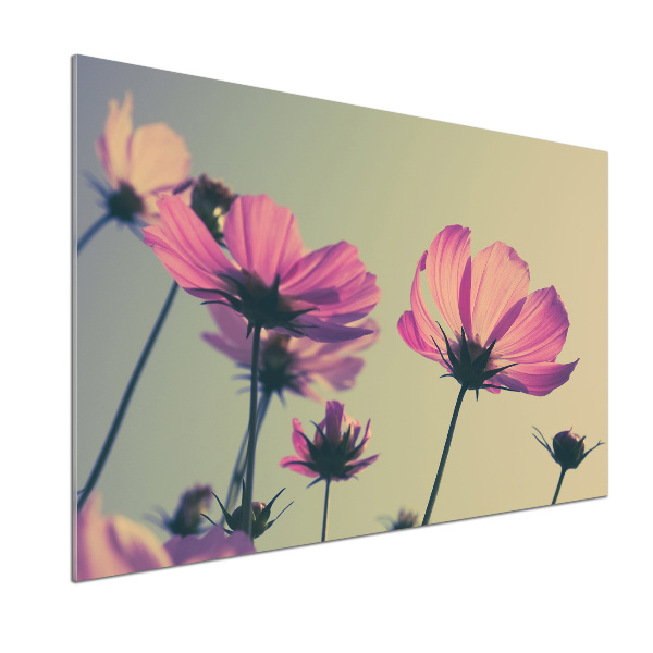 Hob splashback Pink flowers