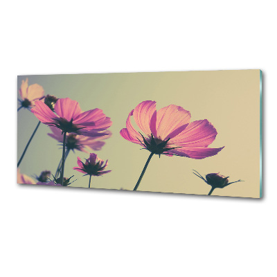 Hob splashback Pink flowers