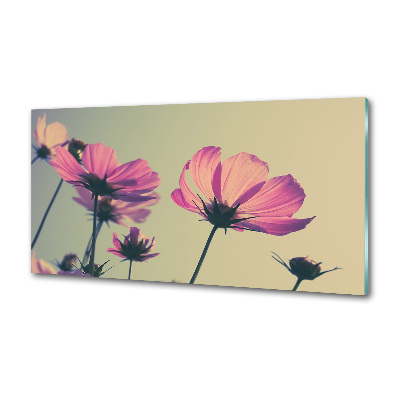 Hob splashback Pink flowers