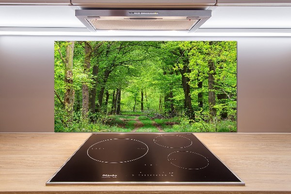 Cooker splashback Spring forest