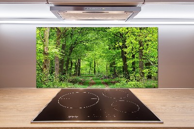 Cooker splashback Spring forest