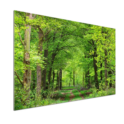 Cooker splashback Spring forest