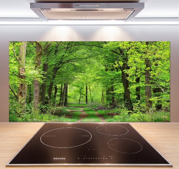 Cooker splashback Spring forest