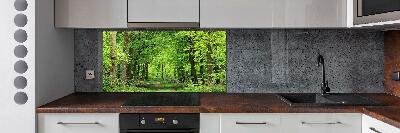 Cooker splashback Spring forest