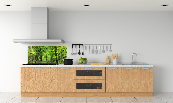 Cooker splashback Spring forest