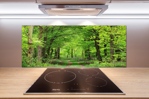 Cooker splashback Spring forest