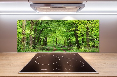 Cooker splashback Spring forest