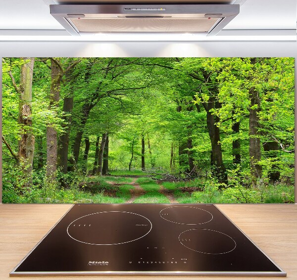 Cooker splashback Spring forest