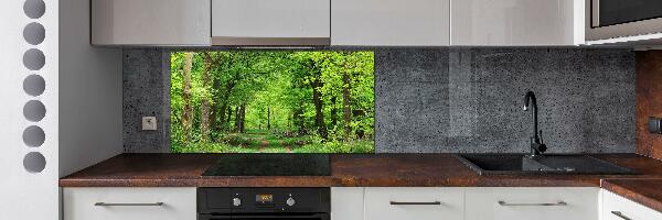 Cooker splashback Spring forest