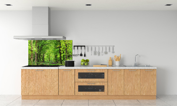 Cooker splashback Spring forest