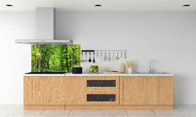 Cooker splashback Spring forest