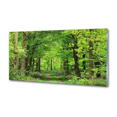 Cooker splashback Spring forest