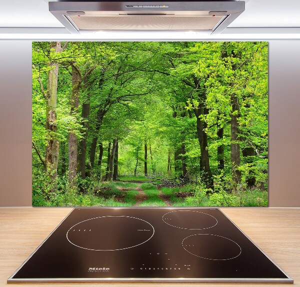 Cooker splashback Spring forest