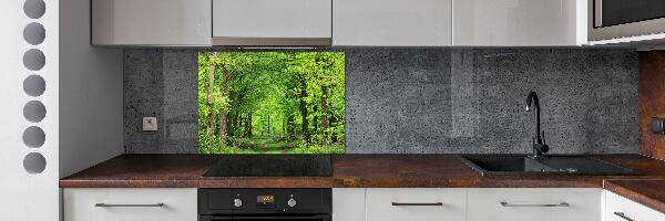 Cooker splashback Spring forest