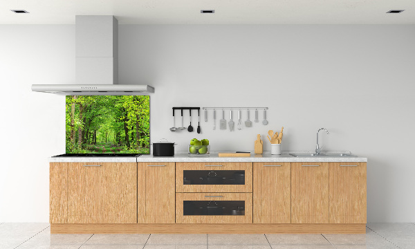 Cooker splashback Spring forest