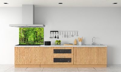 Cooker splashback Spring forest