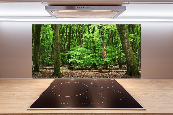 Cooker splashback Dutch forest