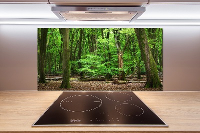 Cooker splashback Dutch forest