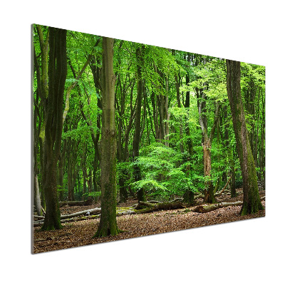 Cooker splashback Dutch forest