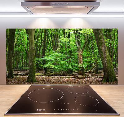 Cooker splashback Dutch forest