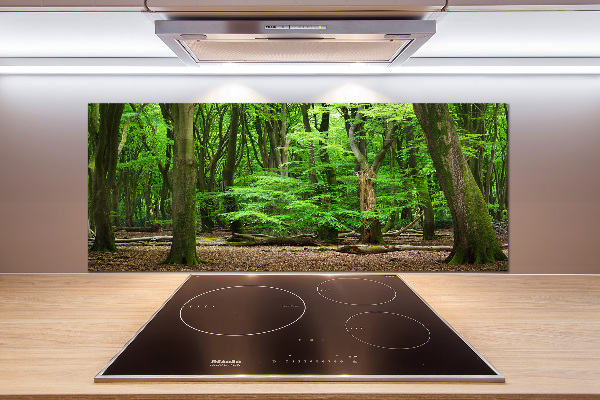 Cooker splashback Dutch forest