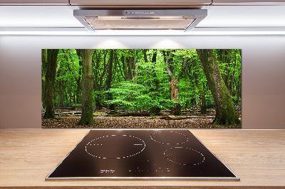 Cooker splashback Dutch forest