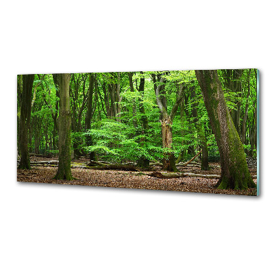 Cooker splashback Dutch forest