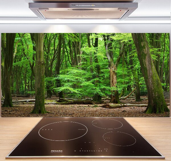 Cooker splashback Dutch forest