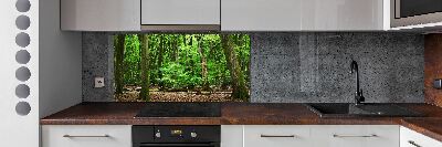 Cooker splashback Dutch forest