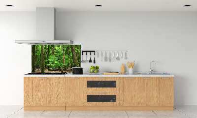 Cooker splashback Dutch forest