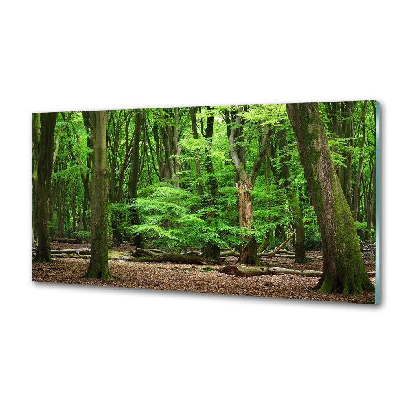 Cooker splashback Dutch forest