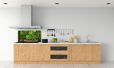 Cooker splashback Dutch forest