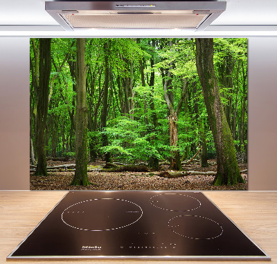 Cooker splashback Dutch forest