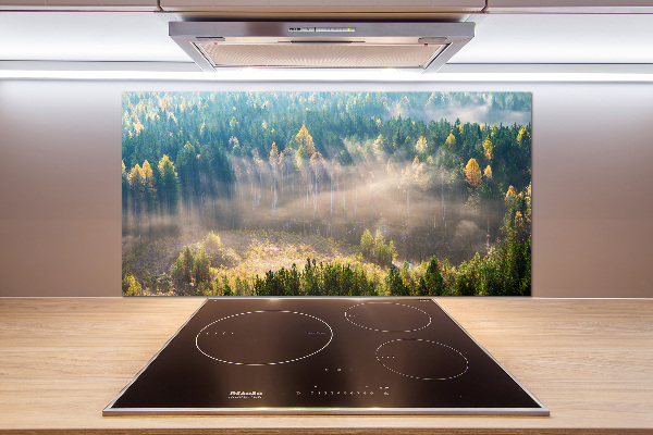 Cooker splashback Fog in the forest